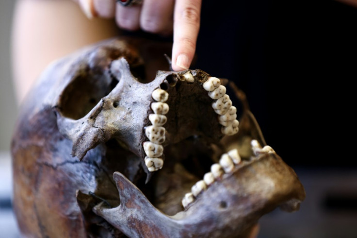 Besonders die Zähne mit Spuren von Strontium, einem natürlich vorkommenden chemischen Element, das sich in menschlichen Knochen anreichert, können durch ihre Geologie auf bestimmte Regionen hinweisen