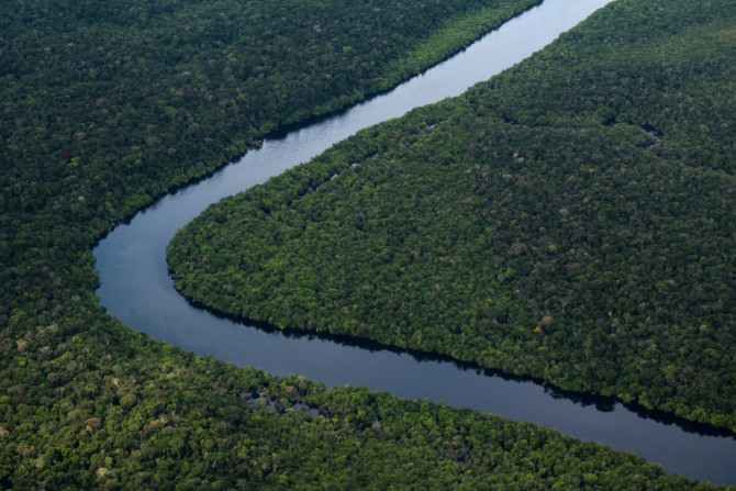 Der neue brasilianische Präsident Luiz Inacio Lula da Silva hat versprochen, die Umwelt zu schützen, einschließlich des Amazonas-Regenwaldes, von dem ein Teil davon hier im Juni 2022 zu sehen ist, nach den drastischen Kürzungen der Regierung durch den frü