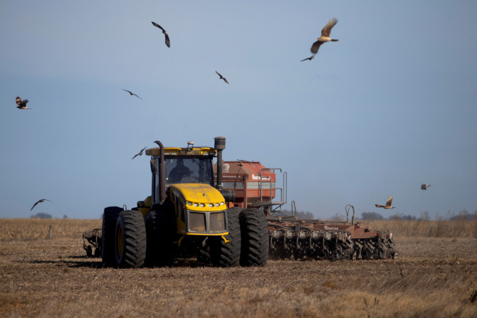 Argentinischer Bauer tauscht Weizen gegen Soja