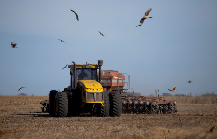 Argentinischer Bauer tauscht Weizen gegen Soja