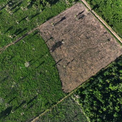 Lulas Amazonas-Versprechen scheint in weiter Ferne zu liegen, während Brasilien gegen die Abholzung kämpft