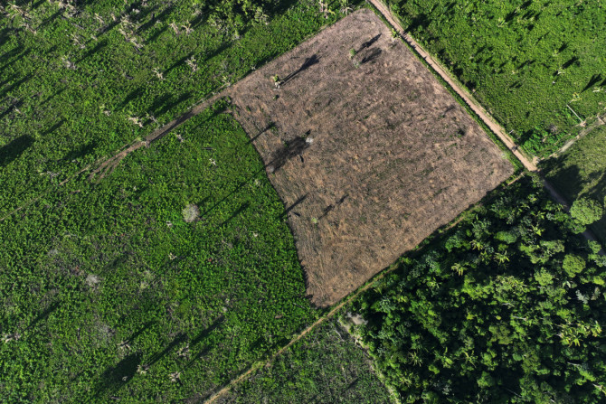 Lulas Amazonas-Versprechen scheint in weiter Ferne zu liegen, während Brasilien gegen die Abholzung kämpft