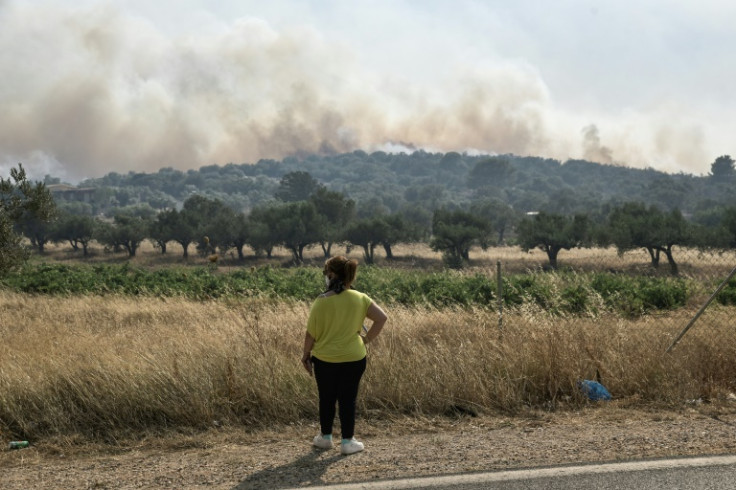 Während der Hitzewelle kam es in Griechenland zu Waldbränden