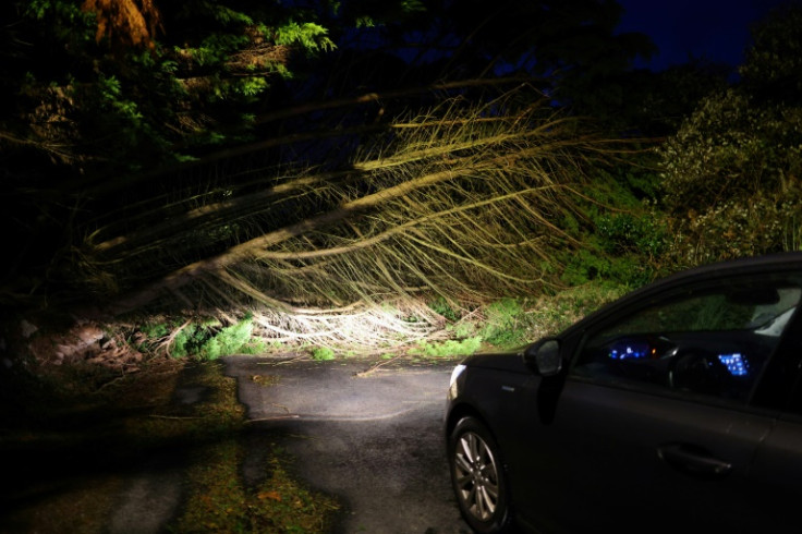 Umgestürzte Bäume verursachten in Frankreich Stromausfälle und mindestens einen Todesfall