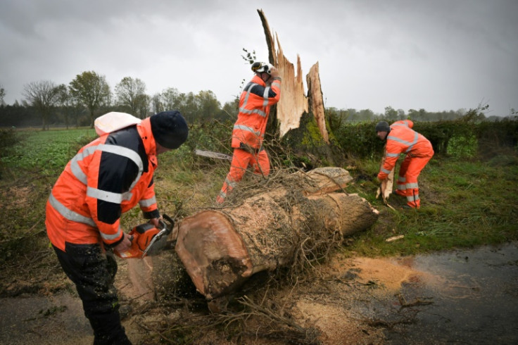 Der Sturm wirbelt entwurzelte Bäume um