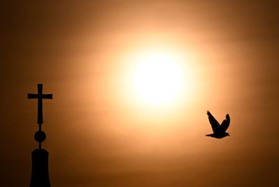 Eine Taube fliegt an einem Kreuz des Berliner Doms vorbei